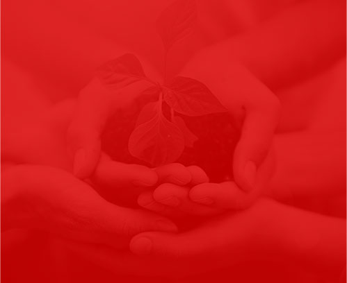 網絡公司狐靈科技